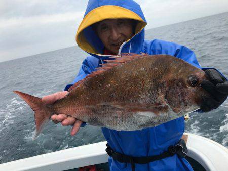 さとみ丸 釣果