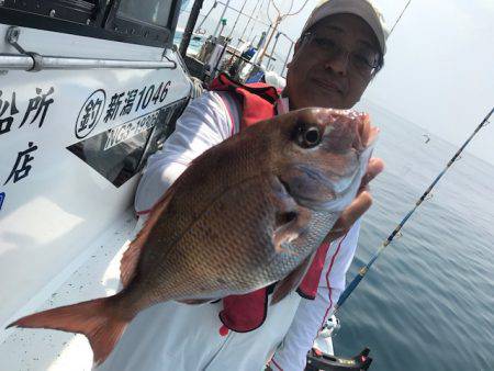 さとみ丸 釣果
