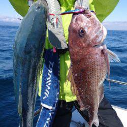 遊漁船ブルーウッズ 釣果