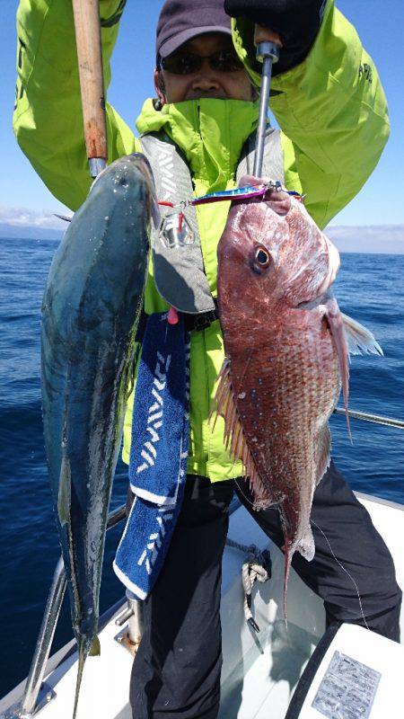 遊漁船ブルーウッズ 釣果