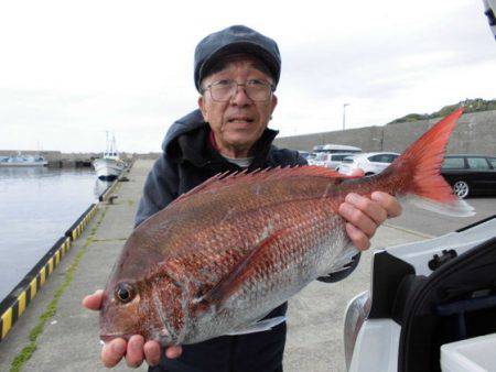 大進丸（新潟） 釣果