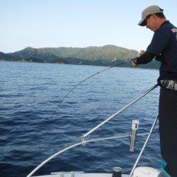 BlueNote Fishing Taxi 釣果