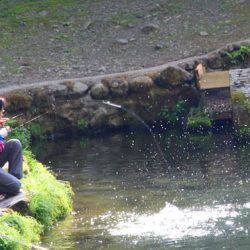 小菅トラウトガーデン 釣果