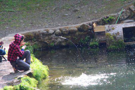 小菅トラウトガーデン 釣果