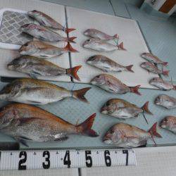 遊漁船 幸友丸 釣果