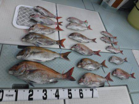 遊漁船 幸友丸 釣果