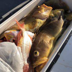 寿裕 （YOSHIHIRO） 釣果