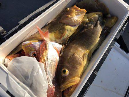 寿裕 （YOSHIHIRO） 釣果