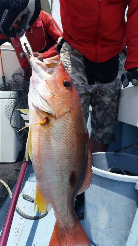 第五慶門丸 釣果