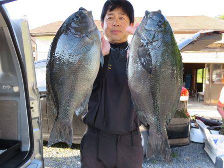 千津丸 釣果