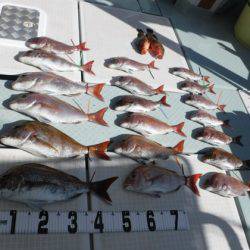 遊漁船 幸友丸 釣果