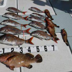 遊漁船 幸友丸 釣果