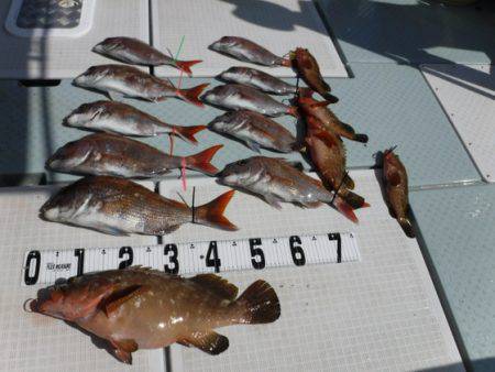 遊漁船 幸友丸 釣果