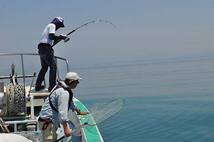 八海丸 釣果