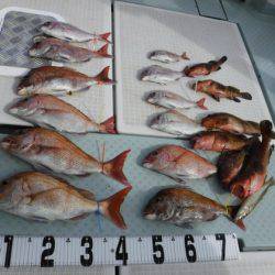 遊漁船 幸友丸 釣果