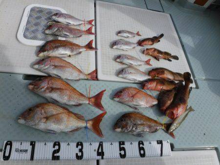 遊漁船 幸友丸 釣果