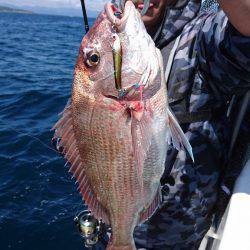 遊漁船ブルーウッズ 釣果