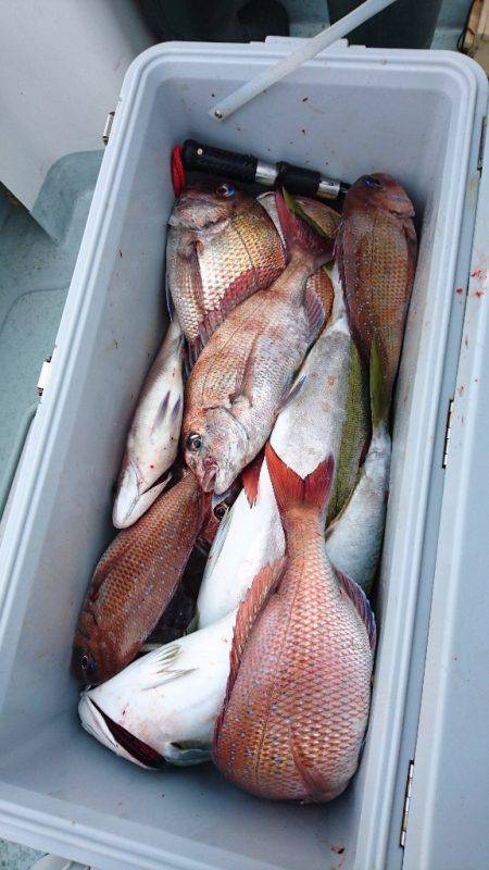 遊漁船ブルーウッズ 釣果