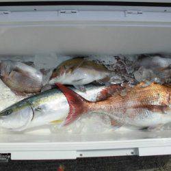 大進丸(新潟) 釣果