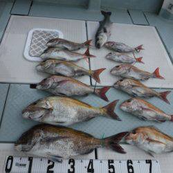 遊漁船 幸友丸 釣果