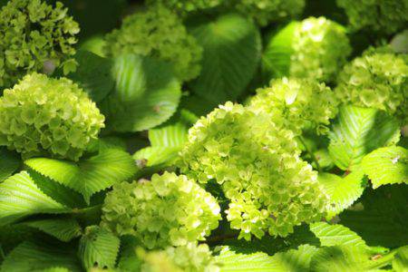 小菅トラウトガーデン 釣果