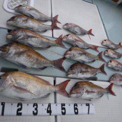 遊漁船 幸友丸 釣果