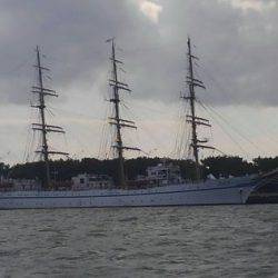 遊漁船 新鋭丸 釣果