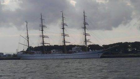 遊漁船 新鋭丸 釣果