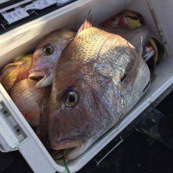 寿裕 （YOSHIHIRO） 釣果