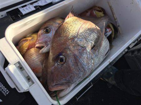 寿裕 （YOSHIHIRO） 釣果