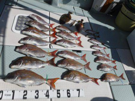 遊漁船 幸友丸 釣果