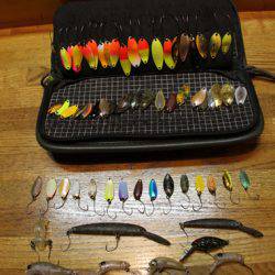 小菅トラウトガーデン 釣果