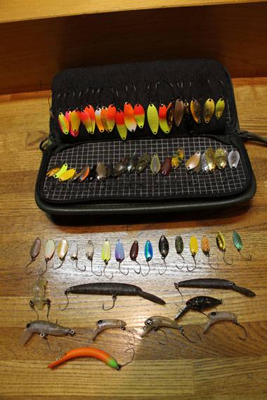 小菅トラウトガーデン 釣果