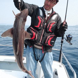 遊漁船ブルーウッズ 釣果