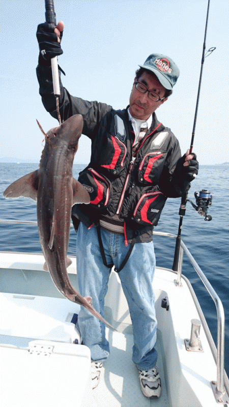 遊漁船ブルーウッズ 釣果