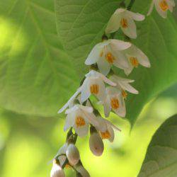 小菅トラウトガーデン 釣果