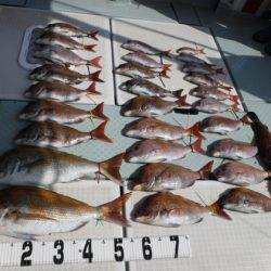 遊漁船 幸友丸 釣果