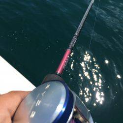 オーシャンズ 釣果