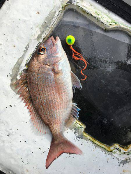 オーシャンズ 釣果