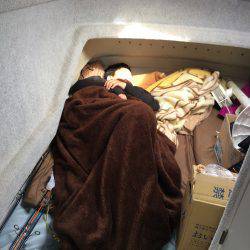 オーシャンズ 釣果