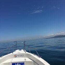 オーシャンズ 釣果