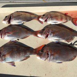 オーシャンズ 釣果