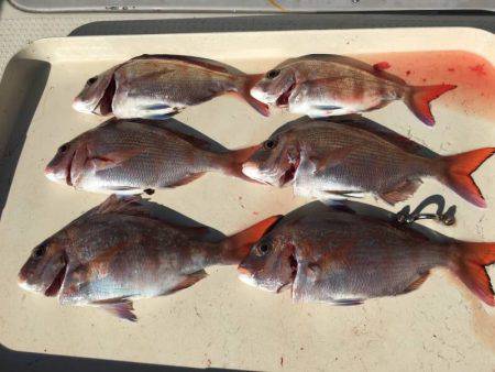 オーシャンズ 釣果