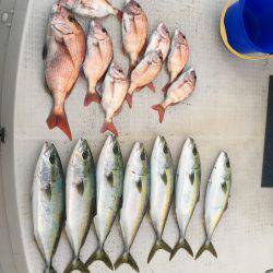 オーシャンズ 釣果