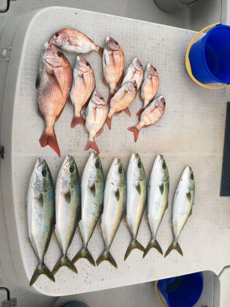 オーシャンズ 釣果