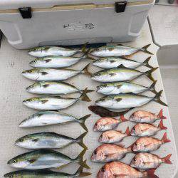 オーシャンズ 釣果