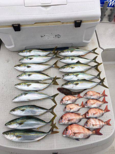 オーシャンズ 釣果