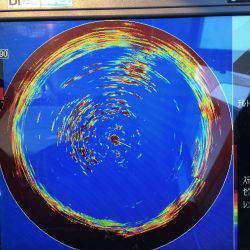 オーシャンズ 釣果