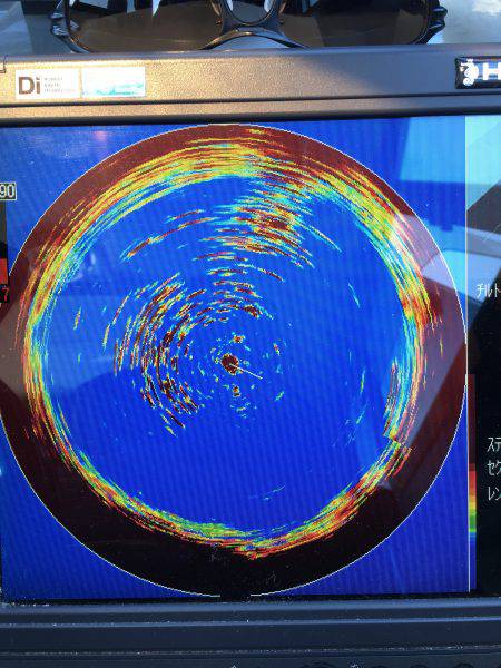 オーシャンズ 釣果