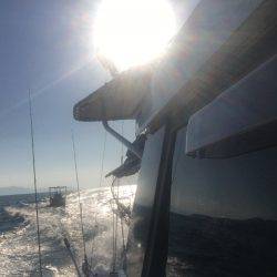 オーシャンズ 釣果